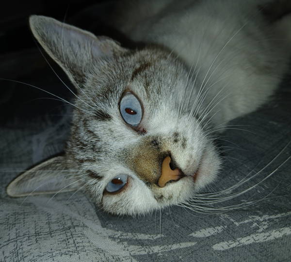 Milky