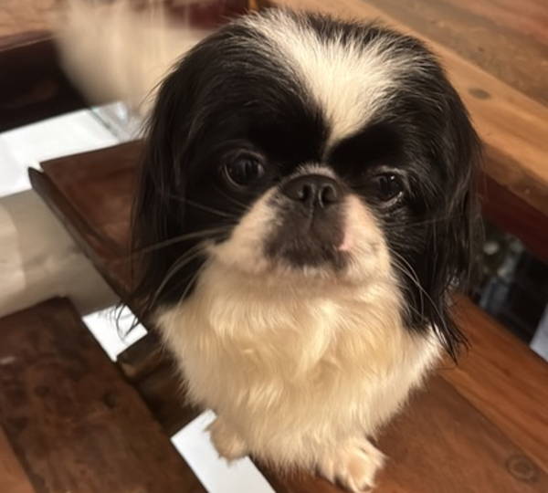 Lilo