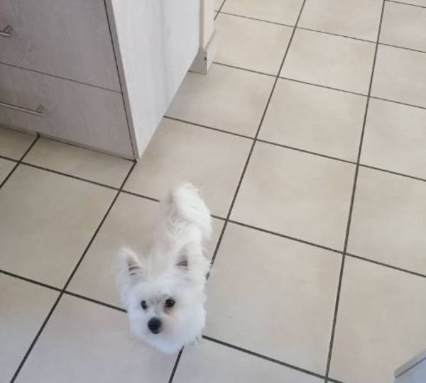 Lola