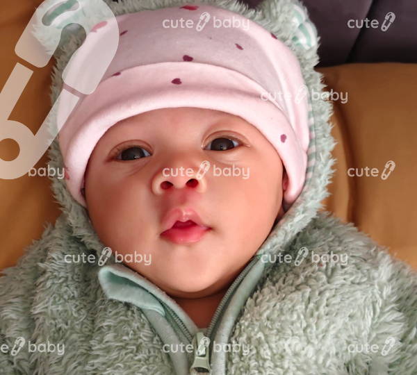 Ziva