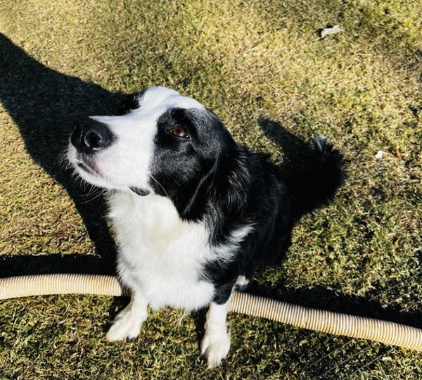 Reid & Finn & Sorcha