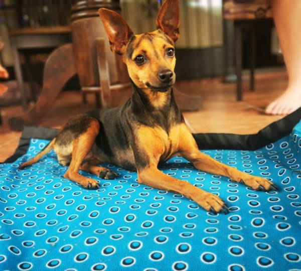 Bella