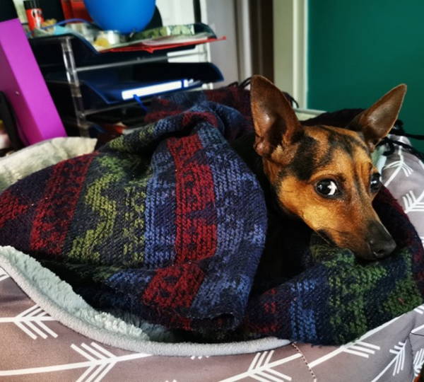 Bella