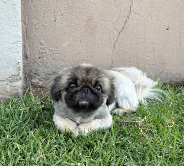 Stormi