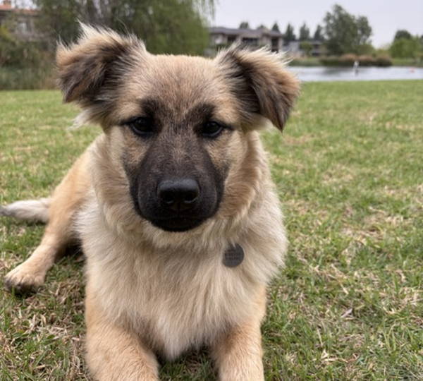 Huxley