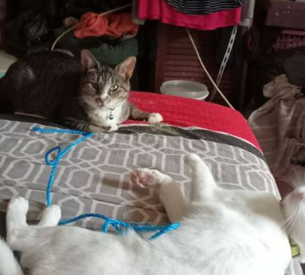 Bella & Aqua