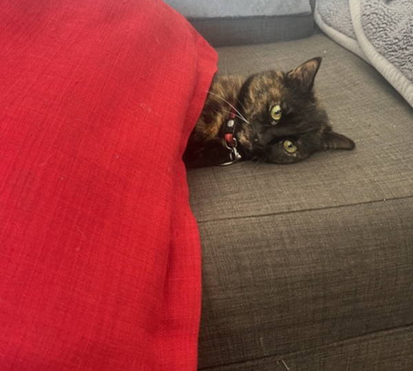 Leila