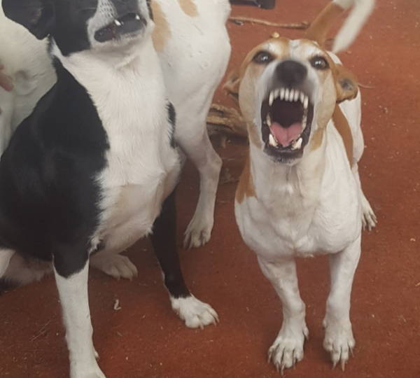 Marley & Vg