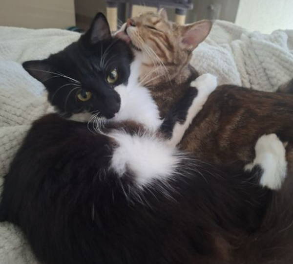 Mimi & Milio
