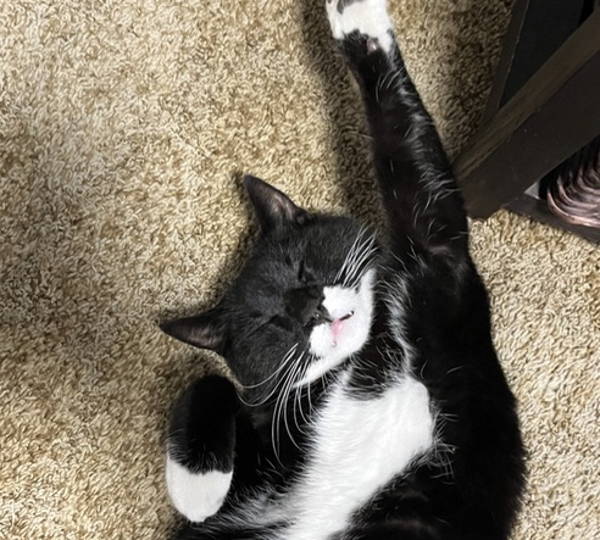 Salem