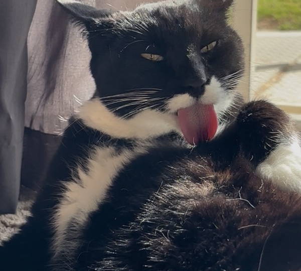 Salem