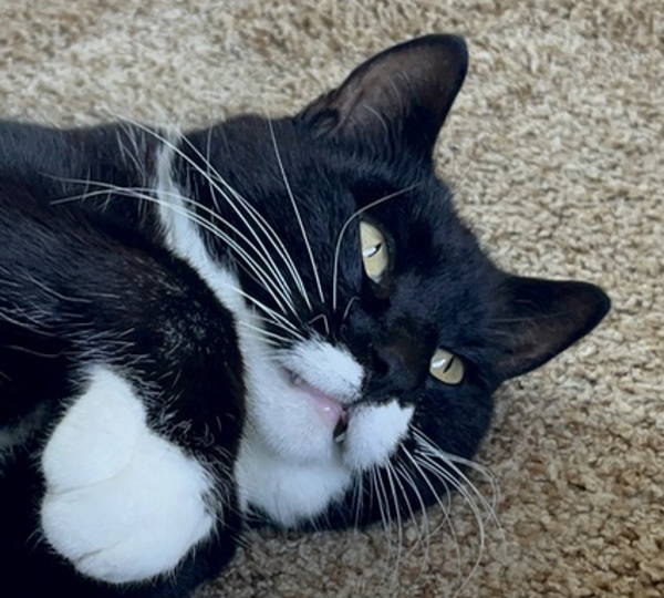 Salem