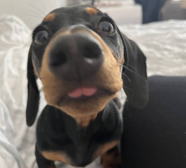 Benjamin