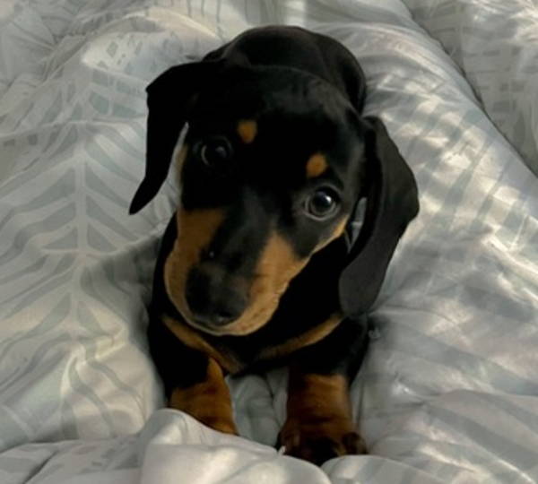 Benjamin