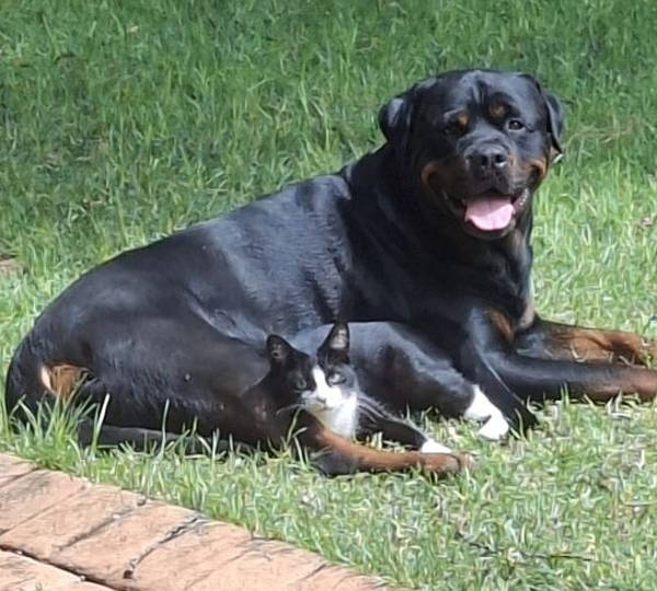 Max & Elijah