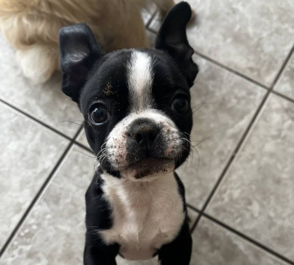 Parker