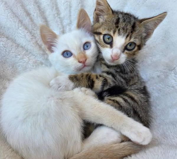 Pinky & Floyd