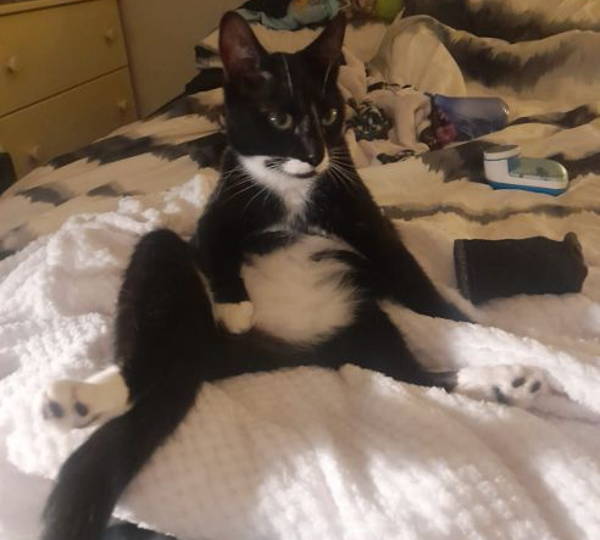 Binx