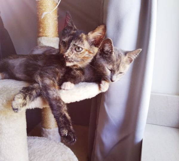 Leia & Octavia