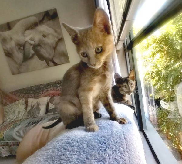 Leia & Octavia