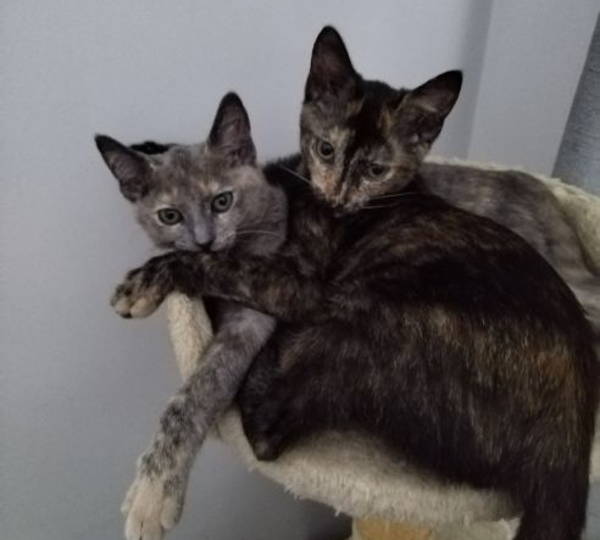Leia & Octavia