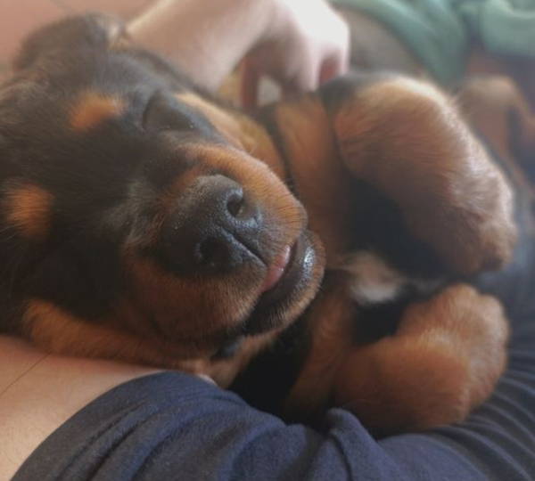 Rusty