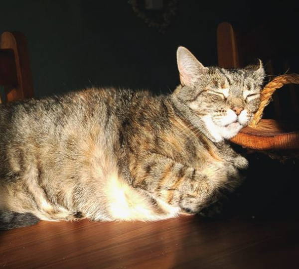 Missy