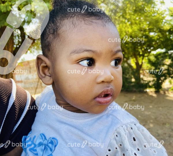 Zaylin