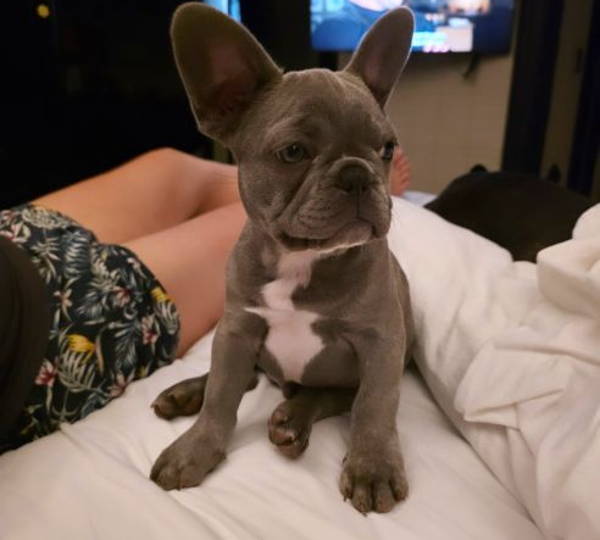 Marlo