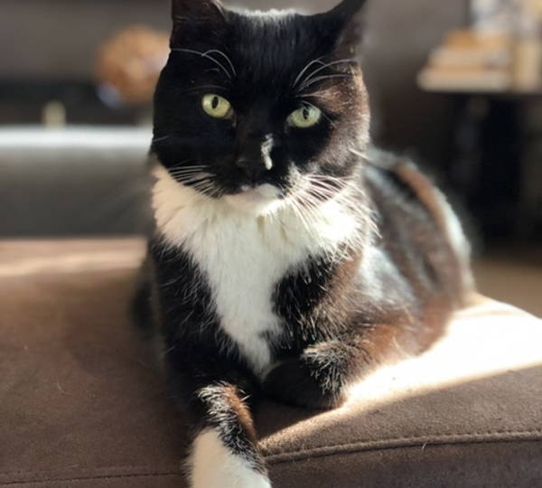 Sminx