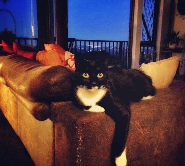 Sminx