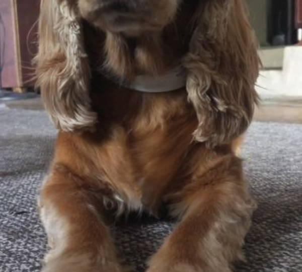 Fabio