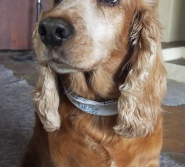 Fabio