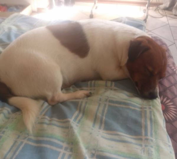 Heidi