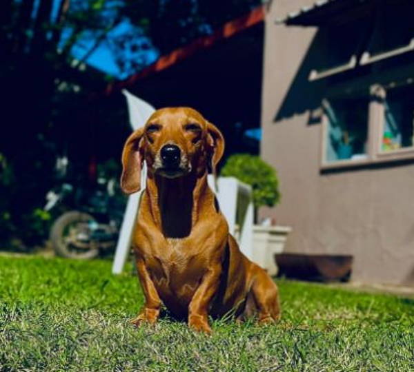 Bailey