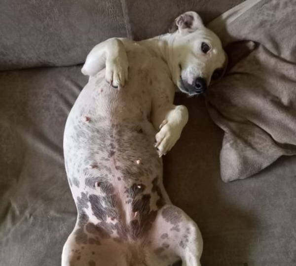 Miss Leila