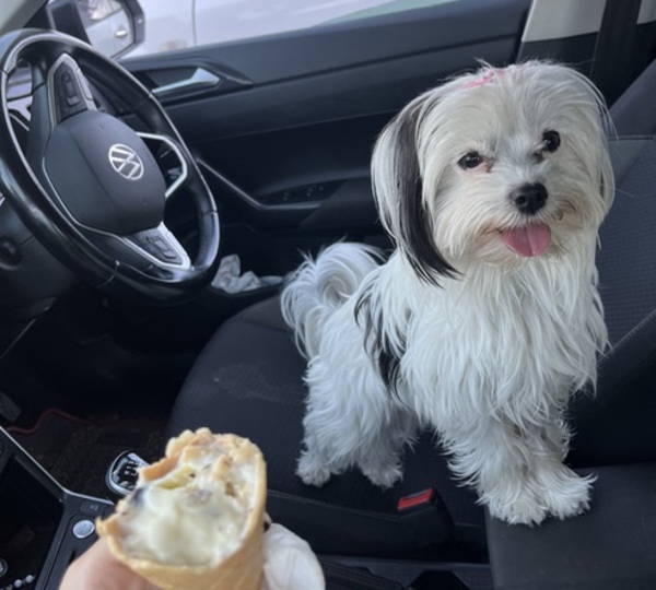 Daisy