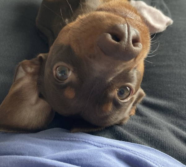 Oliver