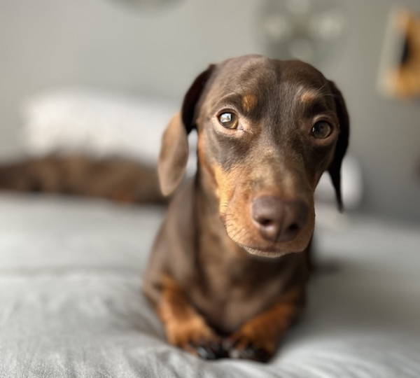 Oliver