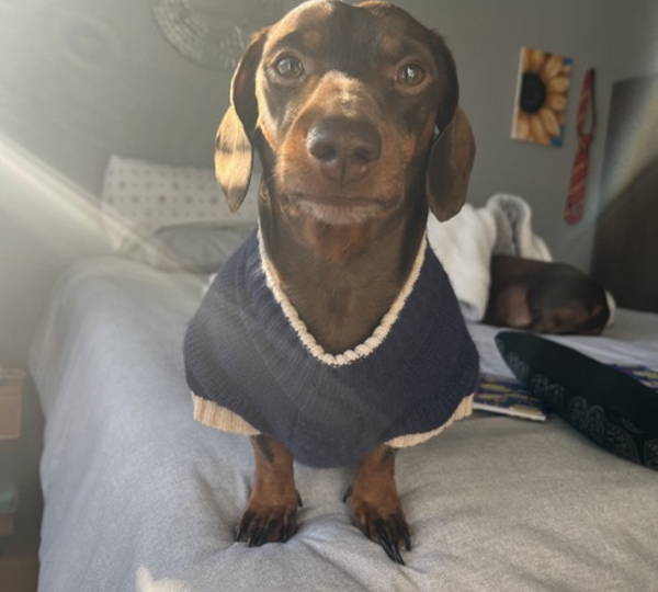 Oliver