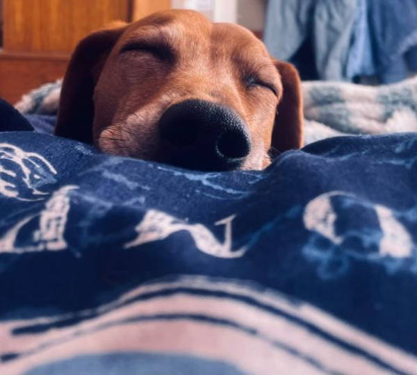 Skye
