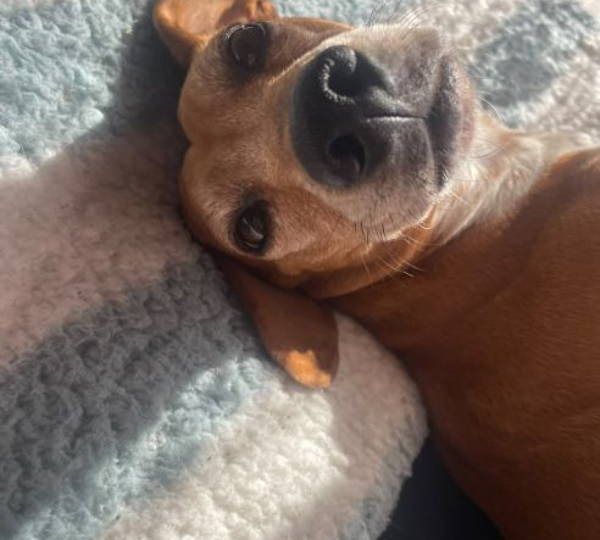 Skye