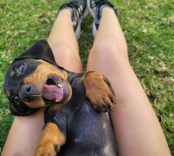 Milo