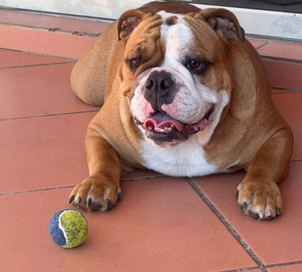 Lola