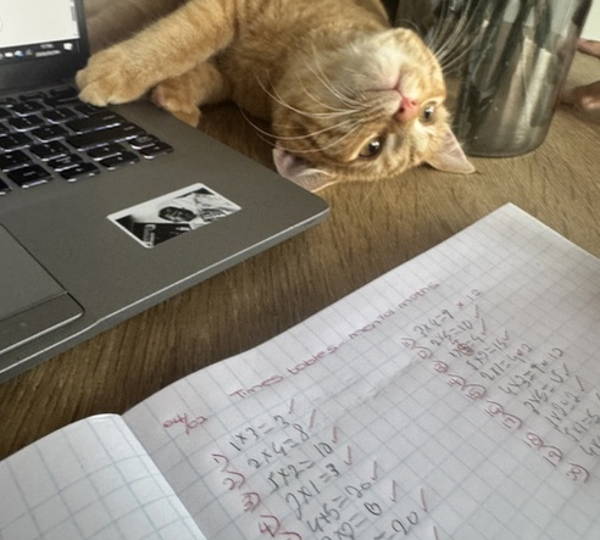 Kitty-Kat