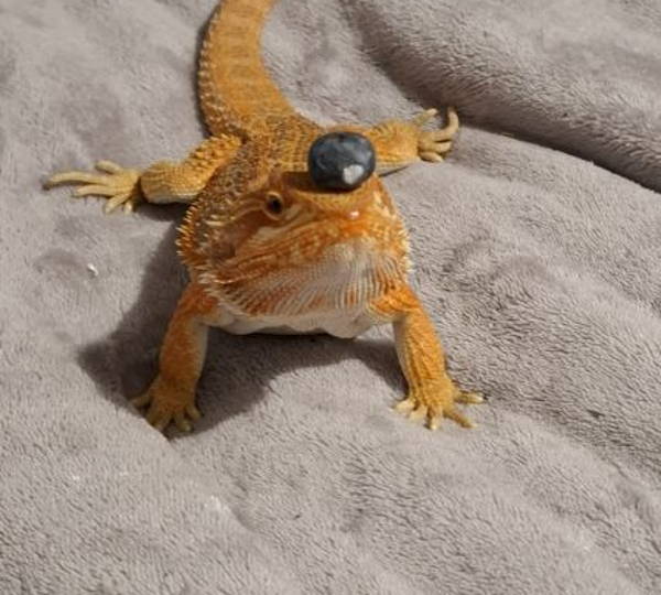 Charlie