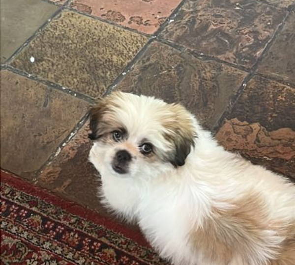 Mila-Boba