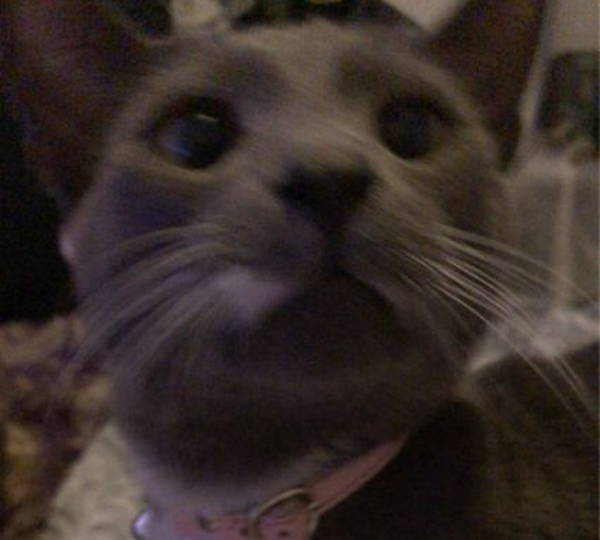 Soba