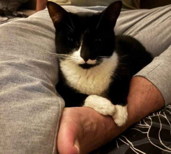 Oreo