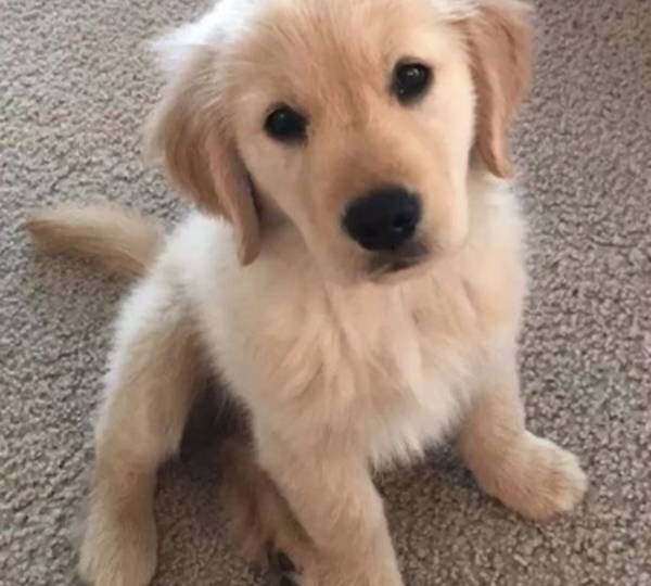 Bruce